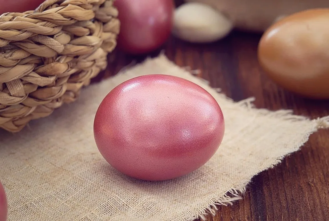 easter egg, colored, color, colored egg, hen's egg, easter, custom, customs, easter time, close up, eastercollection, br